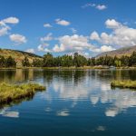 Junín: Laguna muestra mejoras en el color del agua y biodiversidad