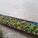 Comunidad de San Martín dona alimentos para personas en cuarentena