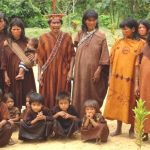 Falta de atención a pueblos indígenas agrava riesgos por Coronavirus