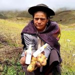 Apoyarán a productores de Huancavelica que realizan alcohol de papa