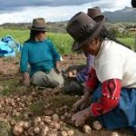 Agricultores piden reforzar acciones para reactivar al sector