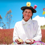 Papa nativa de Huancavelica es exportada hacia Europa