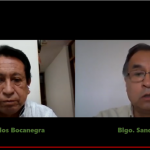 “En el Perú la cuarentena no tiene éxito por la desobediencia civil”