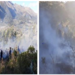 Extinguen tres incendios forestales en Puno, Apurímac y Tacna