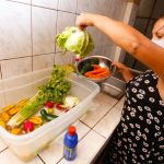 ¿Cómo desinfectar los alimentos al llegar a casa?