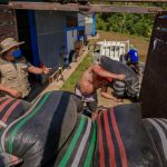 Vraem: Impulsan venta de 20 toneladas de cacao de calidad hacia Europa y Norteamérica