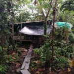 Loreto: Destruyen seis laboratorios clandestinos de producción de cocaína en el Putumayo
