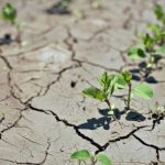 Aseguran que un clima más húmedo agrava la crisis climática
