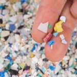 Los microplásticos son la ‘pandemia’ del siglo XXI