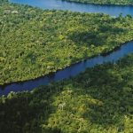 Minam prepara guía de funcionamiento de la Huella de Carbono Perú
