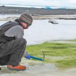 La ‘crisis climática’ verdecerá las costas de la Antártida