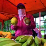 Promueven reactivación económica de agricultores en San Martín