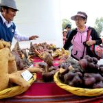 El Perú entre los 15 principales productores de papa en el mundo