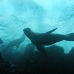 Perú y Ecuador comparten experiencias en gestión de la biodiversidad