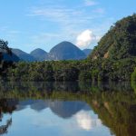 Corea del Sur seguirá promoviendo restauración ecológica de áreas naturales en San Martín