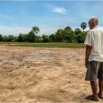 Proponen plan para combatir efectos del cambio climático en la salud