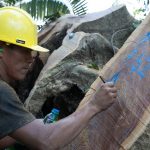 Implementarán sistema de información en línea para acreditar origen legal de la madera