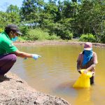 Satipo: Siembran 25 mil peces amazónicos para fortalecer seguridad alimentaria