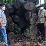 Ucayali: Madera decomisada será usada para la fabricación de ataúdes
