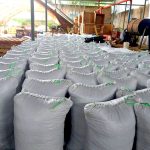 Vraem: Productores de Satipo vendieron 15 toneladas de cacao