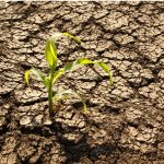 Resaltan importancia de nuevos estilos de vida para mitigar crisis climática