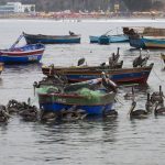Semana de la Biodiversidad: Promueven la pesca responsable y sostenible