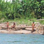 Juntan firmas para proteger a pueblos indígenas en situación de aislamiento