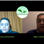 Analizan situación de la gestión ambiental en gobiernos regionales y locales