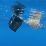 Día Mundial de los Océanos: Preocupa contaminación en sus aguas