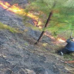 Cusco: Extinguen incendio forestal en Quellouno