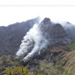 Puno: 140 incendios sobre cobertura forestal en mayo