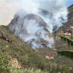 Extinguen cinco incendios forestales en Amazonas