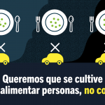 Informe asegura que biodiésel de soja provoca graves impactos socioambientales