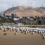 Cómo mantener los impactos ambientales producidos por la cuarentena