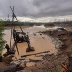 Madre de Dios: Destruyen equipos de minería ilegal y rescatan dos guacamayos