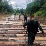 Ucayali: Incautan 90 000 pies tablares de madera ilegal