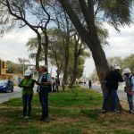 Proponen invertir en la forestería urbana