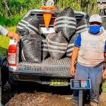 Huánuco: Productores concretan venta de más de ocho toneladas de cacao