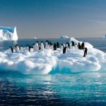 Hielo antártico se perdía 10 veces más rápido en última deglaciación