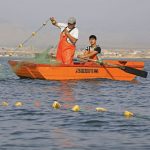 ¿Cuál es el estado de la pesca a nivel mundial?