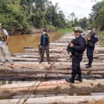 Ucayali: Intervienen 90 000 pies tablares de madera ilegal