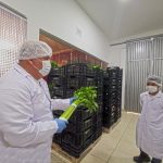 Verifican inocuidad de alimentos durante cuarentena en San Martín