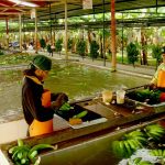 Más de 45 mil agricultores mejoran calidad de cultivos con proyectos de innovación