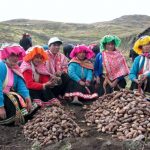Reconocen a productores en primera edición del Premio Nacional INIA-CARAL 2020