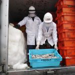Decomisan 10 toneladas de caballa en Chimbote