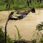 Líderes indígenas y religiosos articulan acciones contra la deforestación en Amazonas