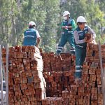 Intervienen 15 mil pies tablares de madera ilegal procedente de Ucayali