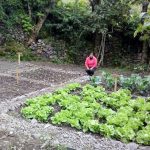 Huancavelica: Implementan tecnologías productivas en cultivos andinos