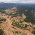 Impactos de una deforestación que nunca se controló