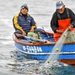 Organizaciones pesqueras piden suspensión de temporada 2020 debido al Covid-19